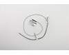 00XD890 Lenovo CABLE 23.8"WiFi antenna cable Modul