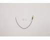 Lenovo ANTENNA 190mm SMA RF Cable_HB für Lenovo ThinkCentre M70q Gen 4 (12E4)