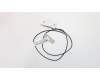 Lenovo CABLE LS X315 Rear Antenna für Lenovo H30-00 (90C2)
