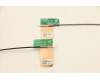 Lenovo 00UR476 Antenne Antenne,WLAN,ASM,Speed