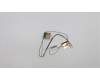 Lenovo 00XJ092 Antenne AIO 310 615/300mm Antenne