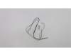 Lenovo 00XJ092 Antenne AIO 310 615/300mm Antenne