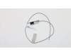 Lenovo 00XJ098 Antenne Fru, Lx 8L SMB and IDC Front ANT