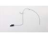 Lenovo 00XJ099 Antenne Fru, Lx 8L Think Front ANT_350mm