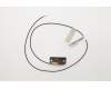 Lenovo 00XJ116 Antenne LX AMD 720 500mm Rear Antenne