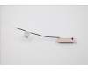 Lenovo 00XJ117 Antenne LX C-tiny2 Front Antenne