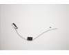Lenovo 00XJ118 Antenne LX C-tiny2 Rear Antenne