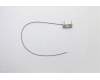 Lenovo 00XJ155 Antenne Fru, Fan-less Nano WLAN AUX ANT