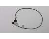 Lenovo 00XL354 CABLE C.A M/B-BK_LG