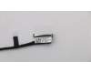 Lenovo 01AW438 Displaykabel cable