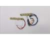 Lenovo 01AW957 Antenne ANT Kit,WWAN+WLAN,JT