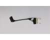 Lenovo 01AW979 Displaykabel,OLED,CABEL