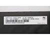 Lenovo 01AX527 NB_KYB Windu KBD,NDC,CHY BL