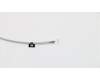 Lenovo 01EN231 Antenne WL Antenne,(L+R)