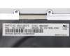 Lenovo 01EN591 NB_KYB KBD BL CHY Arabic