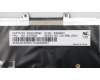 Lenovo 01EP008 NB_KYB KBD BL CHY Russian