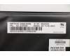 Lenovo 01EP432 NB_KYB KB Chicony Arabic