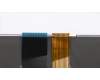 Lenovo 01HW205 Payton 2 Walter 2 Tastatur mit Hintergrundbeleuchtung, ARA, CHERRY