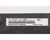Lenovo 01HX480 NB_KYB Windu2 LTN BL-KB PT