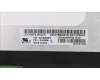 Lenovo 01HY322 MECH_ASM Touch ASM w/B MT+LGD FHD,W/Cam