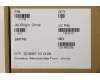 Lenovo 01HY795 HEATSINK CPU/GPU N18E thermal,w/Lüfter,DEL