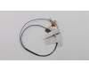 Lenovo 01LW169 Antenne FRU WLAN Antenne Kit