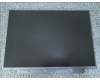 01YN131 Lenovo DISPLAY LGD 14.0 FHD IPS AG