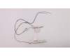 Lenovo 02HL027 Antenne WWAN+WLAN Ant,Speed