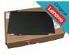 Original Lenovo TN Display HD matt 60Hz für Lenovo IdeaPad 310S-14AST (80UL)