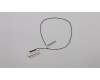 31501133 Lenovo CABLE LS 400mm Antenna_Black_Roatan