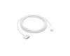 USB-C auf MagSafe 3 für Apple A2991 (EMC 8408)
