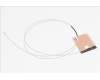 50.Q83N2.006 Acer WLAN-Antenne, Auxiliary