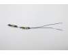 Lenovo 5A30S36054 Antenne Antenne W 81TE
