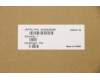 Lenovo 5A30S36060 Antenne AntenneC81XE MMWAVE LCPFPC R+L+T