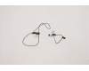 Lenovo 5A30S36067 Antenne Antenne L 20YN(5A30S36067)