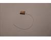 Lenovo 5A30S36075 Antenne Antenne W 82R9 MAIN+AUX