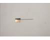 Lenovo 5A30S36076 Antenne Antenne W 82RA MAIN+AUX
