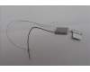 Lenovo 5A30S36106 Antenne Antenne H 83GH L+R
