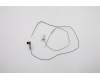Lenovo 5A30S73631 Antenne FRU Antenne_WLAN Antenne ASM