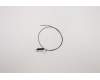 Lenovo 5A30W89192 Antenne Fru, Gaming T550 Main Antenne