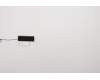 Lenovo 5A30W89193 Antenne Fru, Gaming T550 Aux Antenne