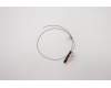 Lenovo 5A30W89193 Antenne Fru, Gaming T550 Aux Antenne