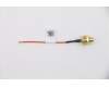 Lenovo 5A30W89198 Antenne Fru, Fan-less Nano LTE SMA CABLE