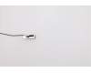 Lenovo 5A30W89201 Antenne Fru,Gaming T750 Main Antenne_Lux