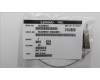 Lenovo 5A30W89227 Antenne Fru,13L FR 260mm ANT_LUX