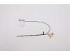 Lenovo 5A30Z39962 Antenne WLAN Antenne MAIN+AUX<JTI>