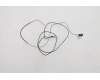 Lenovo 5A30Z88137 Antenne FRU P15 ACCY KITS WLAN Antenne