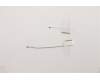 Lenovo 5A30Z88146 Antenne WLAN Antenne cable Main+Aux WNC
