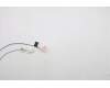 Lenovo 5A30Z88158 Antenne FRU T15G2_Antenne Kit WL<Speed>