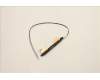 Lenovo 5A30Z88182 Antenne FRU Antenne Mars3.0 AMD
